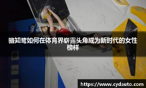 快盈VIII官网