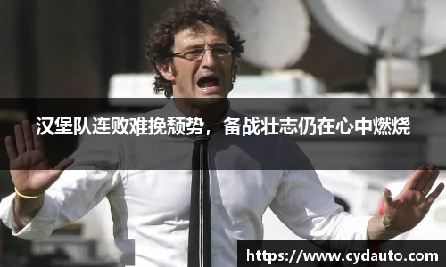 快盈VIII