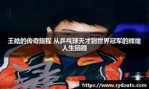 王皓的传奇旅程 从乒乓球天才到世界冠军的辉煌人生回顾