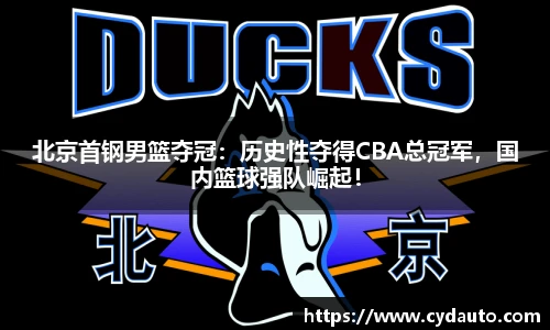 快盈VIII