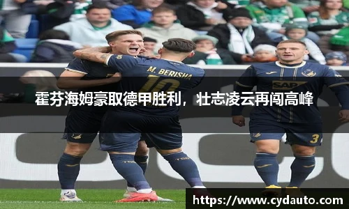 霍芬海姆豪取德甲胜利，壮志凌云再闯高峰