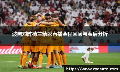 波黑对阵荷兰精彩直播全程回顾与赛后分析