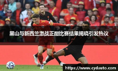 黑山与新西兰激战正酣比赛结果揭晓引发热议